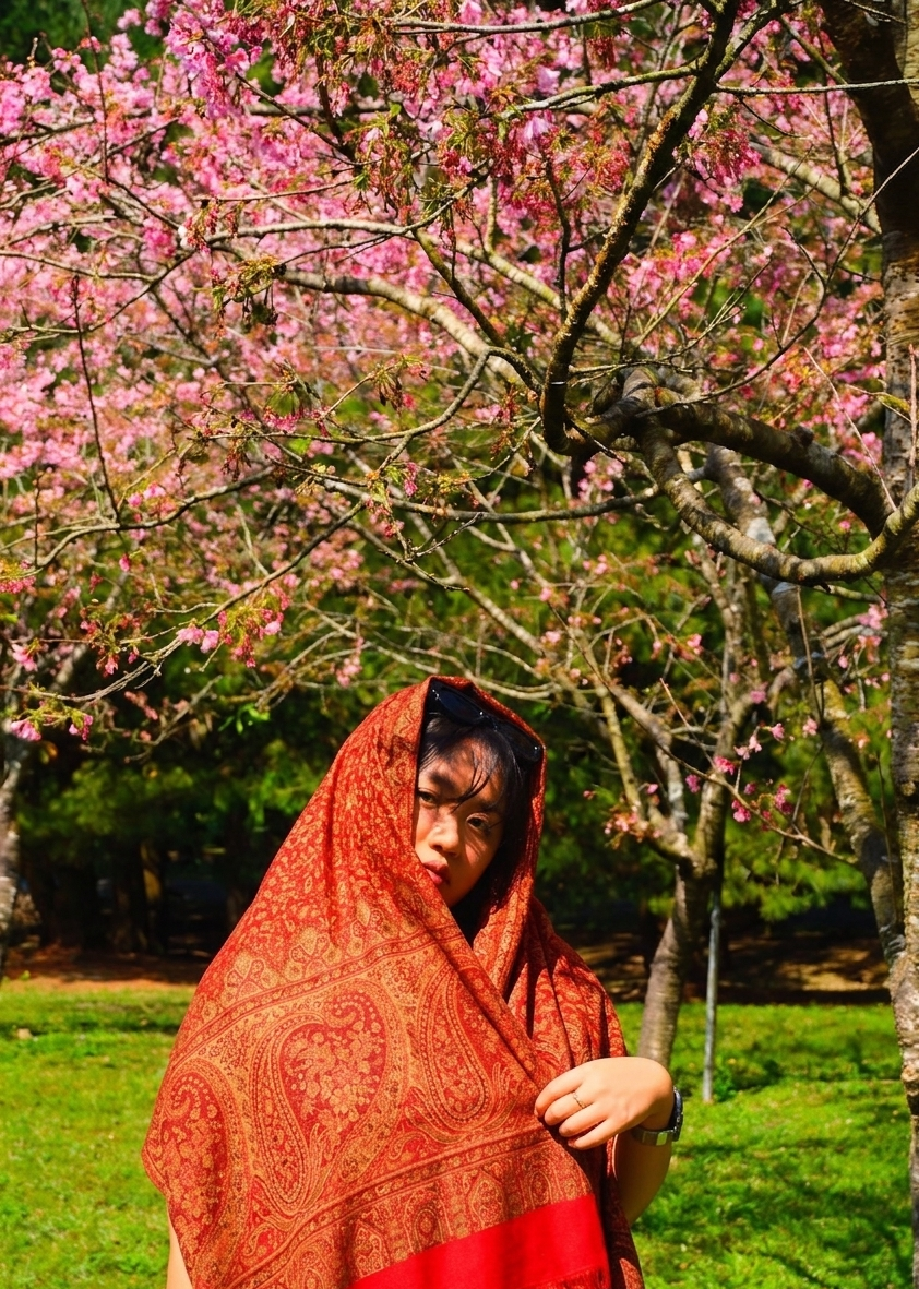 印度紅大地紗披肩 India Red TerraSha Scraf